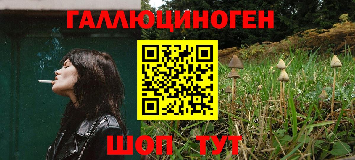 Галлюциногенные грибы ЛСД Отрадный