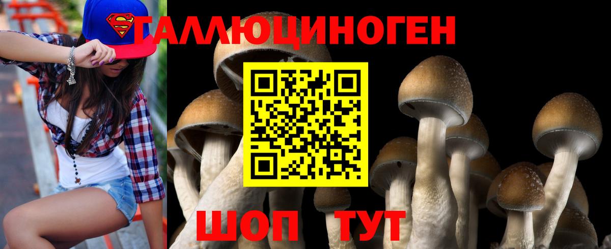 наркошоп  Псилоцибиновые грибы прущие грибы  Вход с VPN  Отрадный 